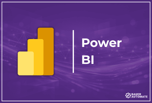 Bauer Automate Service Card: Power BI